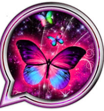 WhatsApp Mariposa